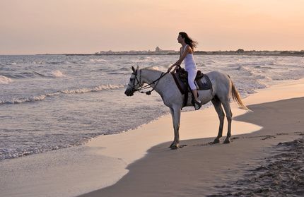 evjf Deauville balade à cheval