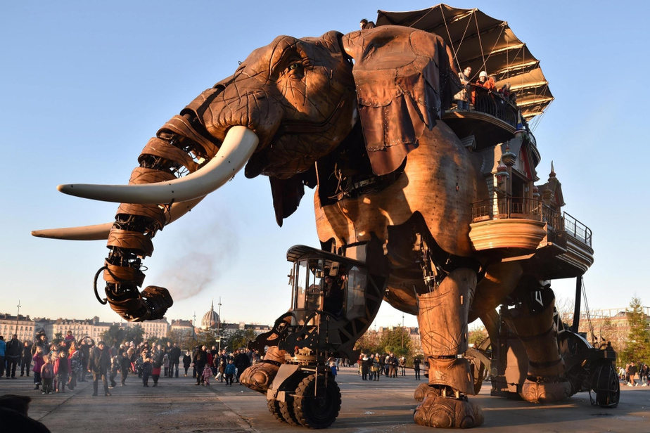 meilleures activités evjf nantes - balade éléphant à nantes